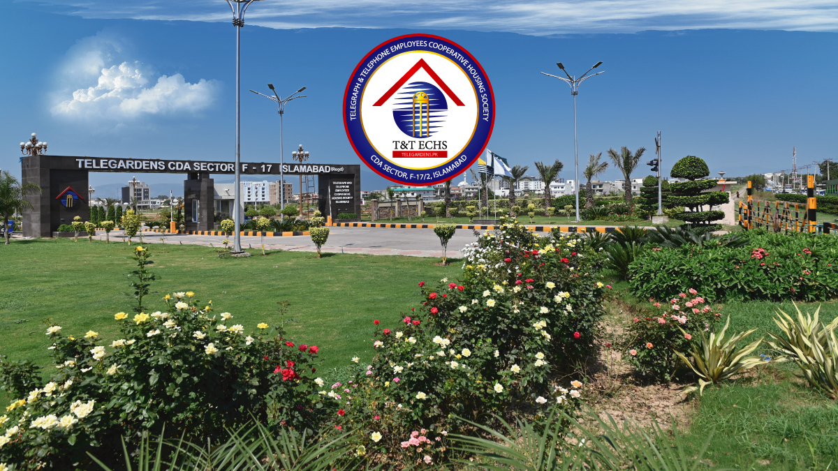 Interface Casino Intense